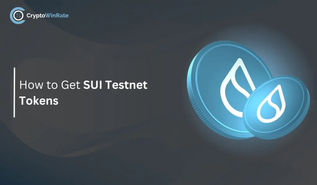 How to Get SUI Testnet Tokens